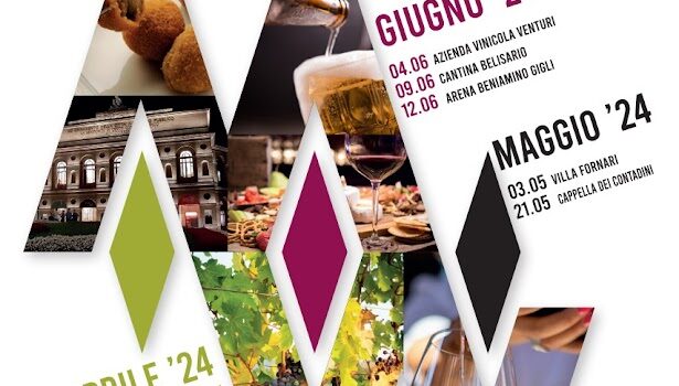 Wine Tour Regione Marche